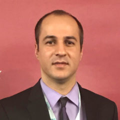 Mehrdad Alizadeh